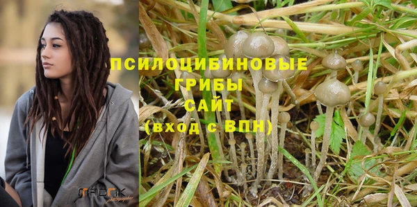 молекула духа Алексин