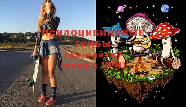 молекула духа Алексин