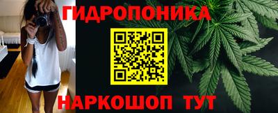 шишки Северобайкальск