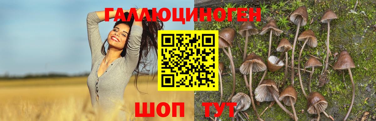 Cocaine  Гашиш  АМФ   Экстази  Cocaine  Мефедрон кристаллы  Марихуана  Вход с VPN  Полысаево  Каннабис 