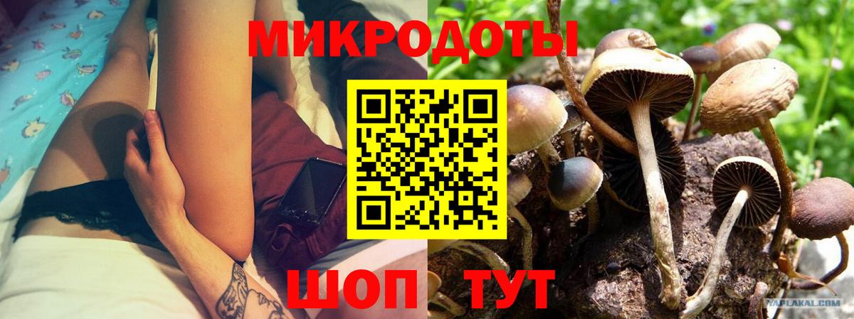 Полысаево  Галлюциногенные грибы Magic Shrooms  Вход с VPN 