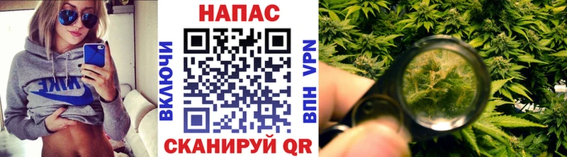 наркотики  Полысаево  Бошки Шишки сатива 